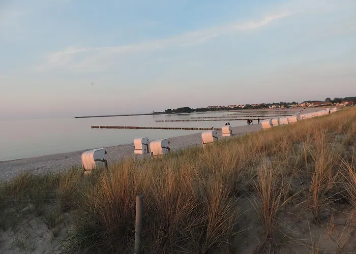 Am Duenenwald * Glowe